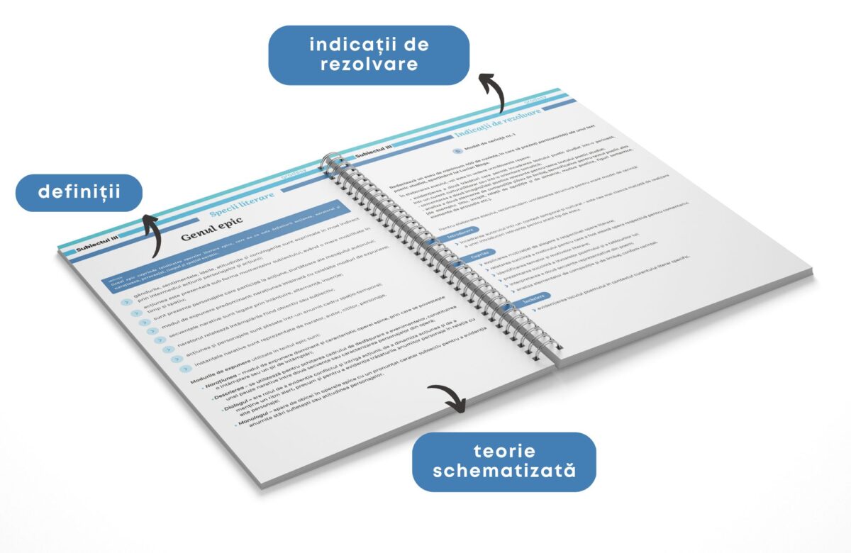 Agendă bacalaureat limba și literatura română - Subiectul I, II și III - imagine 8